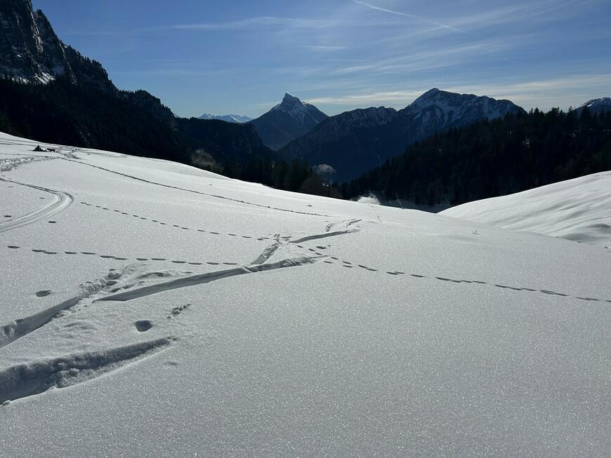 De la Ruchère. De la Ruchère.